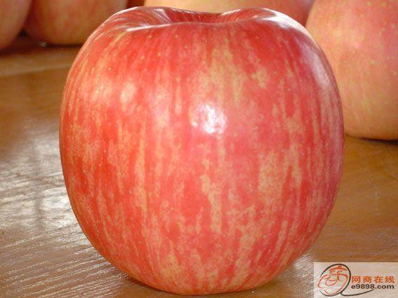 陕西套膜袋的红富士苹果_养殖种植栏目_jdzj.c