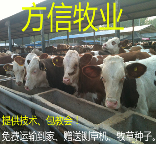 国家直属企业_国家直属机关_国务院直属机构