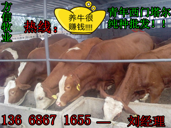 国家直属企业_国家直属机关_国务院直属机构