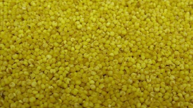 大豆去皮机销售 山东脱皮碾米机厂家标价 脱皮