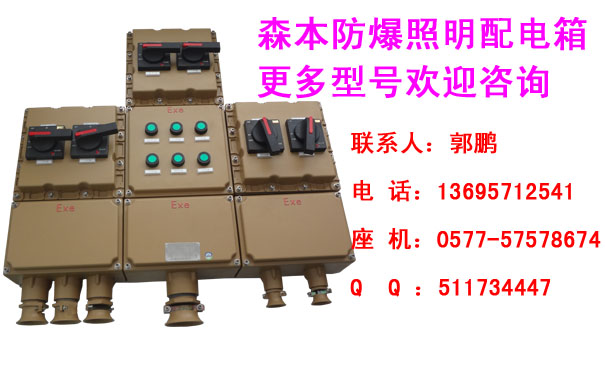 防爆照明配電箱三防配電箱