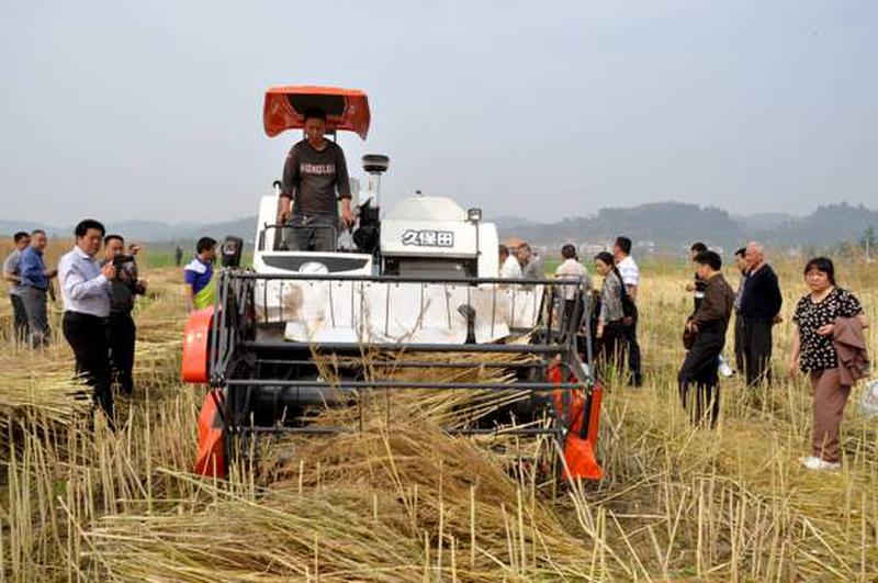 收割机 收割机价格 油菜收割机价格