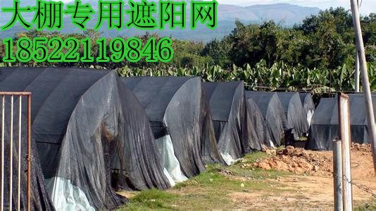 黑龙江供应1大棚专用遮阳网规格-哈尔滨盖土防晒遮阳网怎么卖?