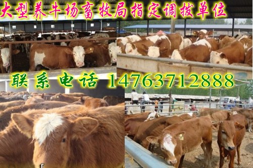 国家直属企业有哪些_教育部直属高校有哪些_上海有哪些好玩的地方