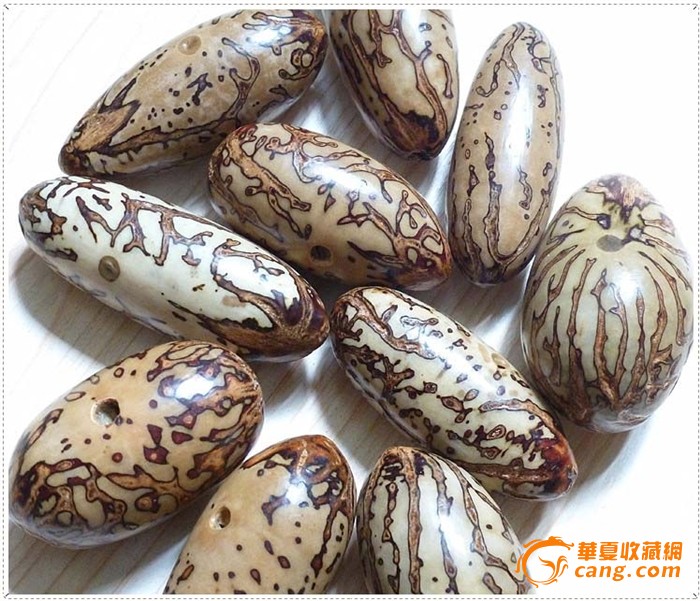 ... 千眼菩提子价格 千眼菩提子手串 绿色 菩提子图片