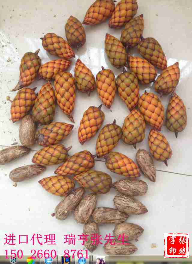 千眼菩提进口报关案例 上海口岸报关代理_周边