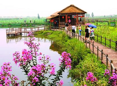 信阳生态农业设计公司,首选御鑫造景工程有限