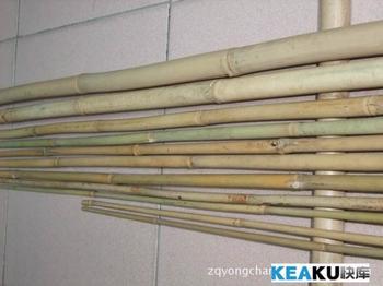 竹竿北京竹子出售 架菜竹竿批发