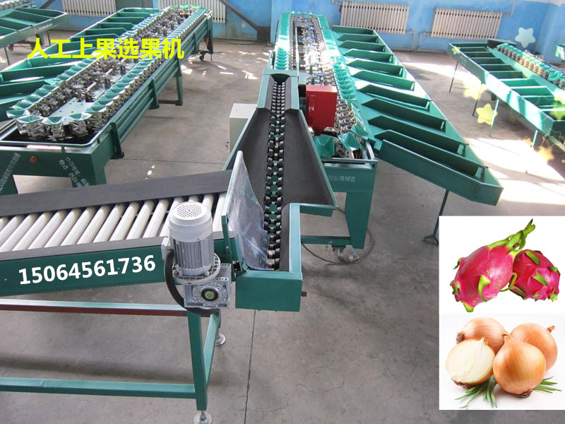 山东火龙果选果机厂家,火龙果选果机用来分选