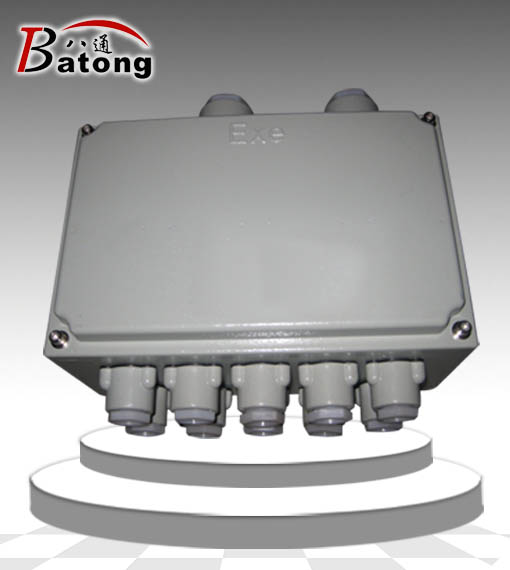 增安型防爆接線箱BJX-20/30X2D2