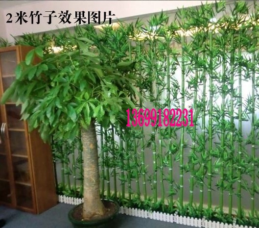 北京装饰竹竿批发 电话 13520710367装饰竹竿批发 竹竿价格竹竿批发 竹竿 细竹竿批发 专业出售各种竹竿 竹子 装饰竹竿批发 仿真竹子 酒店宾馆竹竿批发 尺寸1公分到15公分竹竿批发 北京哪有仿真花批发,北京仿真绿植仿真竹子,仿真桃花,牡丹花,各种仿真树叶,假树叶,假草坪,仿真绿植 搭棚竹竿 架菜竹竿出售 仿真竹子盆景批发定做北京建材公司为您提供北京仿真竹子多少一根。