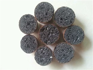 揭开天然的奥妙面纱！沪上学生在“举世天然日”展示构思与科学