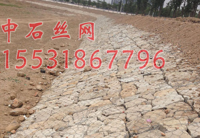 生態(tài)雷諾護(hù)墊