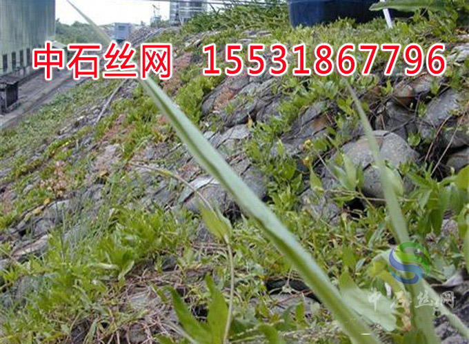 生態(tài)雷諾護(hù)墊護(hù)坡