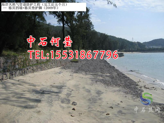 海岸生態(tài)治理格賓雷諾護(hù)墊