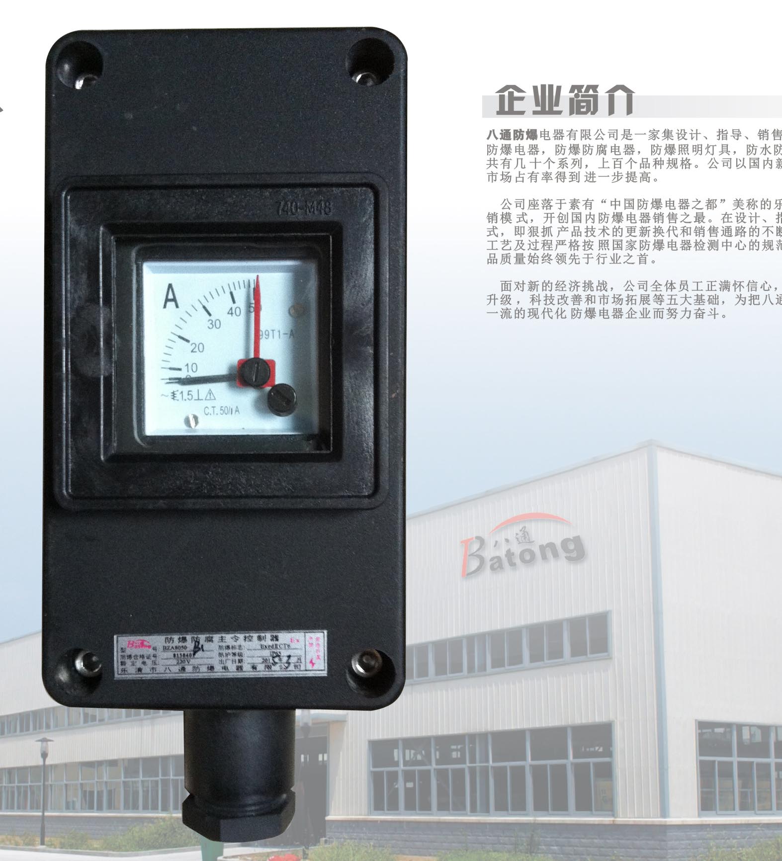 BZA8050-B1防爆防腐電流表