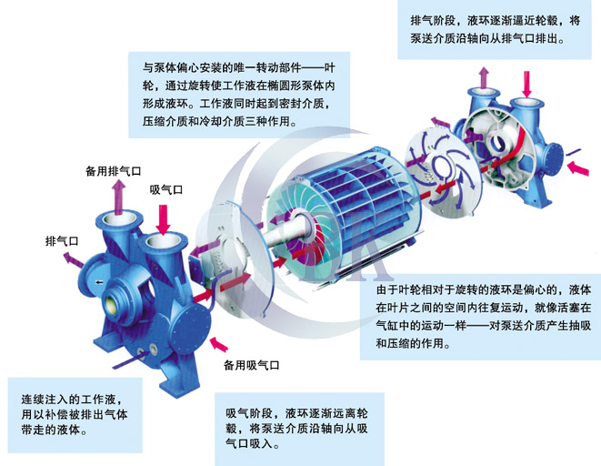 2be真空泵的结构和特点 水环式真空泵得工作原理