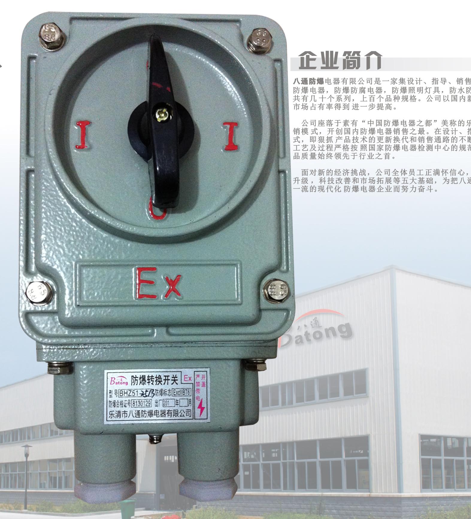 三項防爆轉換開關 BHZ51-10/3