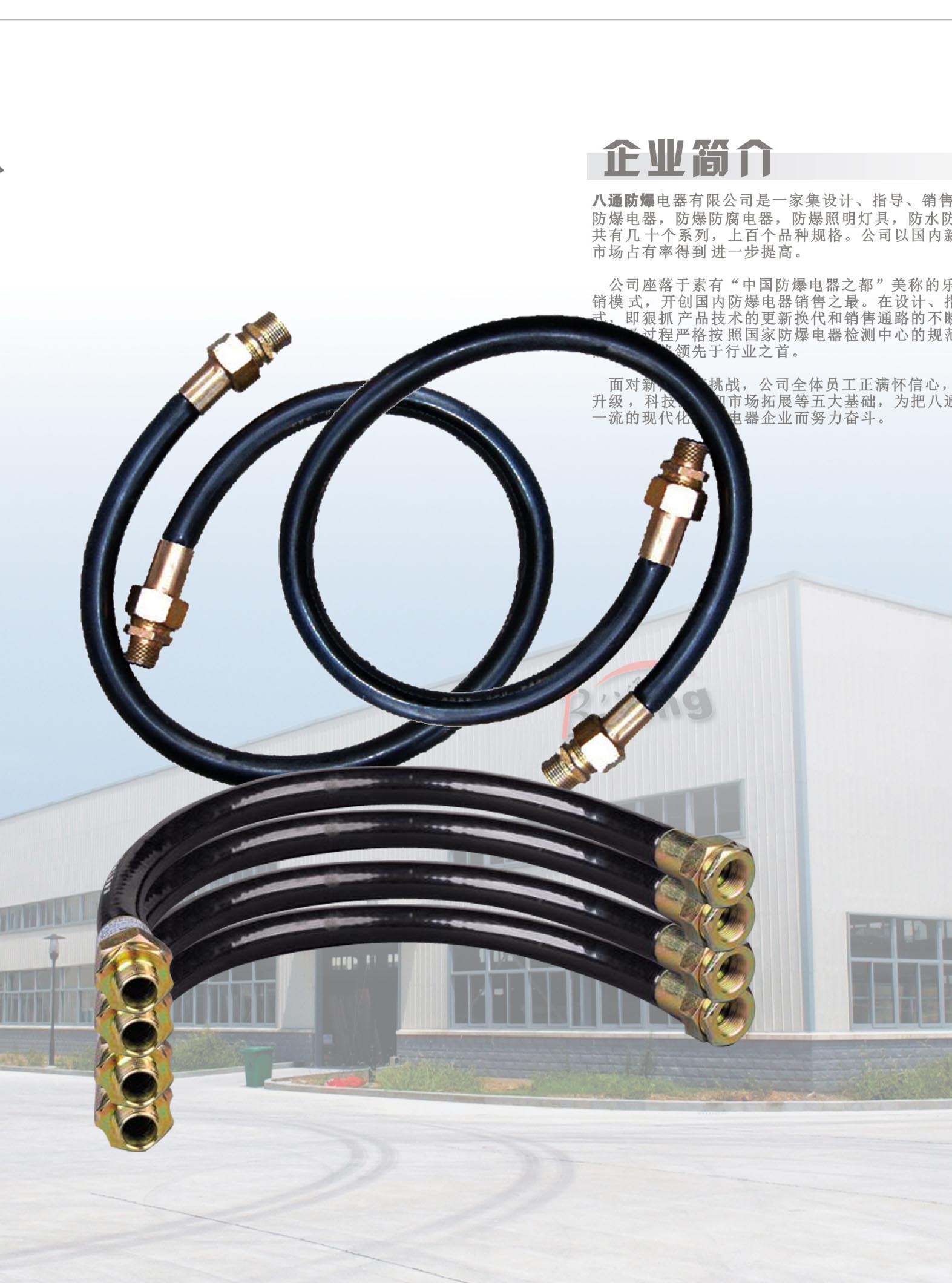 DN32防爆撓性連接管