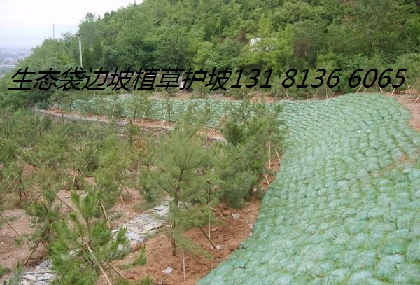 生态袋公路护坡 草籽生态袋 边坡绿化 植草护坡 草籽生态袋