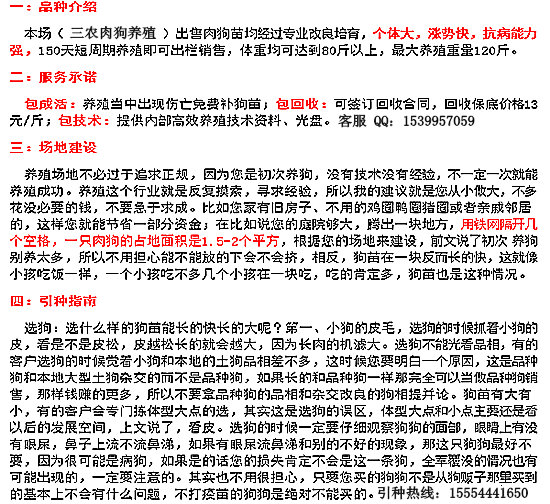 养狗致富经_致富经养狗成功例子_致富经养狗