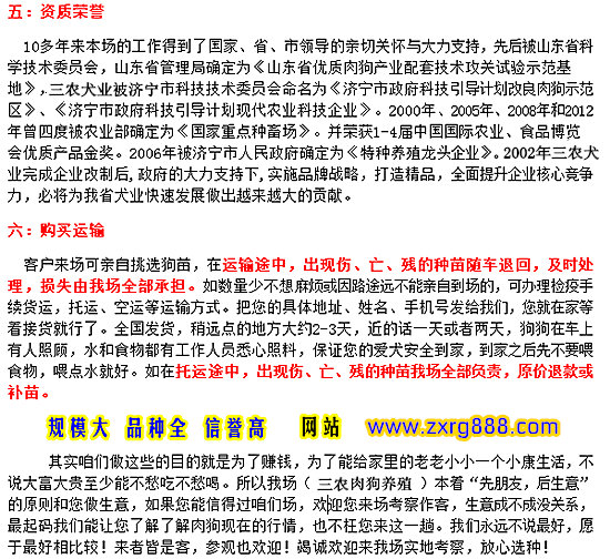 致富经养狗_养狗致富经_致富经养狗成功例子