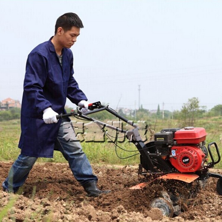 果树旋耕机 微型柴油中耕除草机 连城县