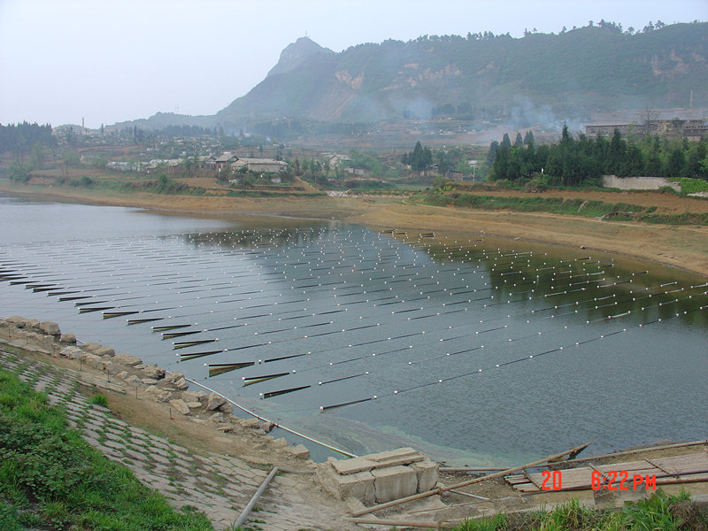 干城蔓污水處理填料