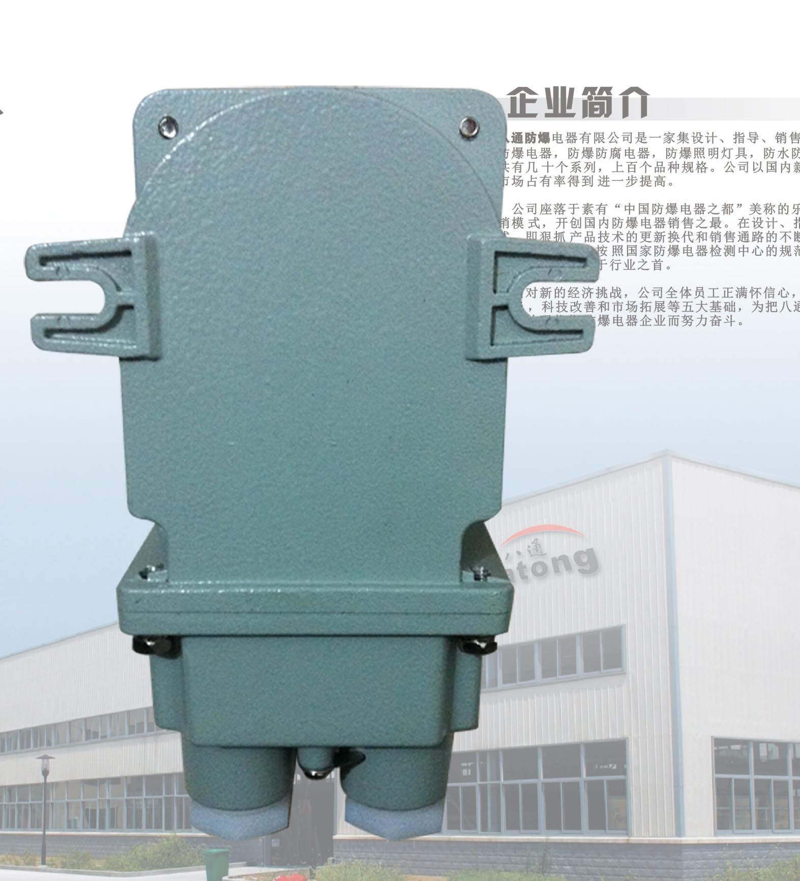 排風扇專用防爆開關 BHZ51-10