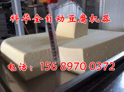 小型全自動豆腐機械設備