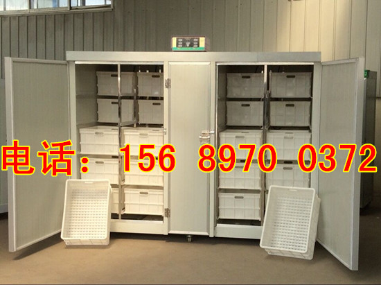 全自動豆芽機器生產廠家