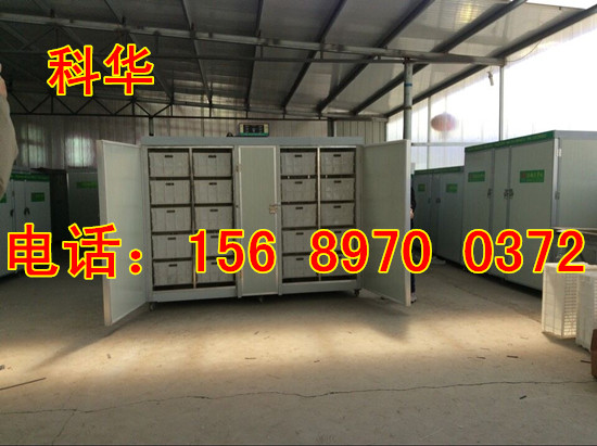 全自動(dòng)豆芽機(jī)械設(shè)備價(jià)格