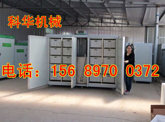 大型全自動豆芽機器
