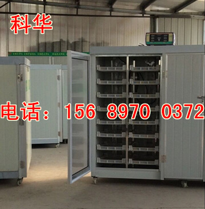 小型全自動芽苗菜機械設備