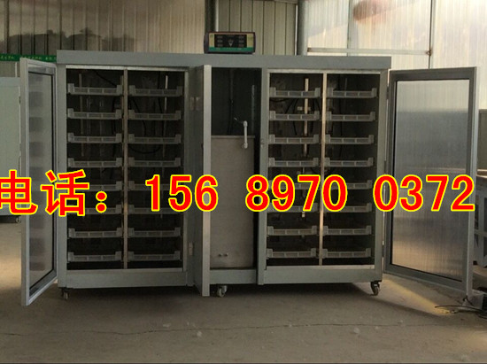 全自動芽苗菜機械設備價格