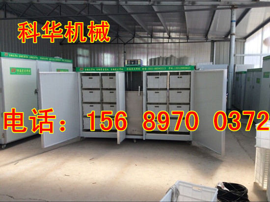 山東全自動豆芽機器