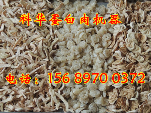 全自動蛋白肉機器產品