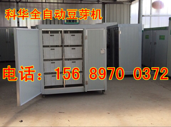 全自動豆芽機械設備