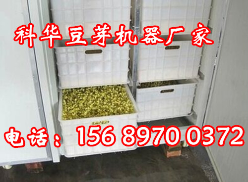 大型全自動豆芽機廠家