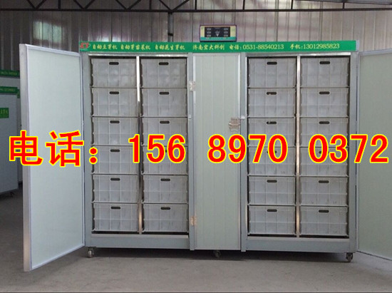 山東全自動豆芽機器