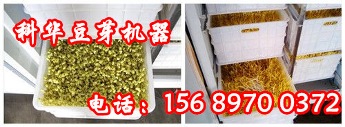 全自動豆芽機械設備