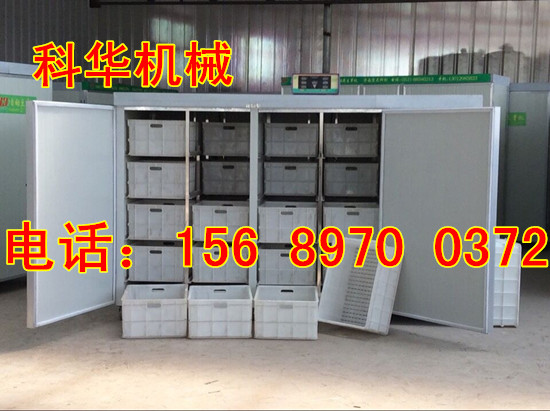 大型全自動豆芽機械設備