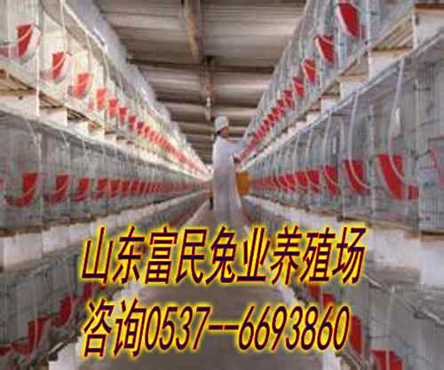 华西村人均收入_蒙阴县年人均收入(3)