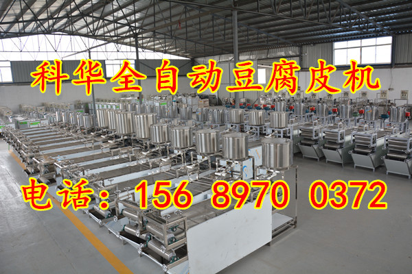 全自動(dòng)豆腐皮機(jī)械設(shè)備價(jià)格