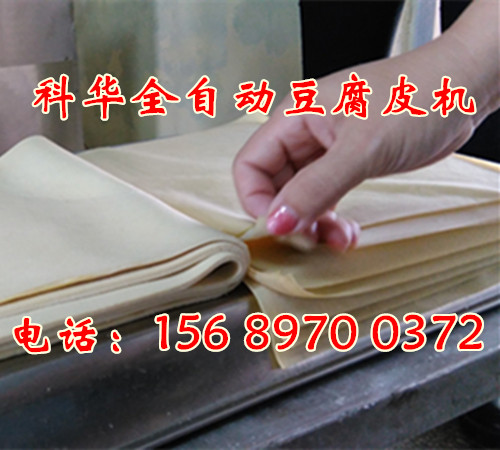 小型全自動(dòng)豆片機(jī)器