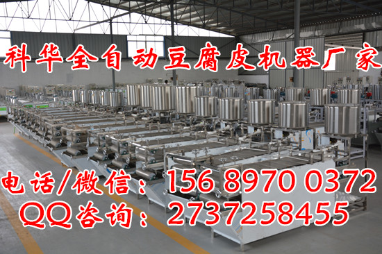 全自動豆腐皮機器廠家