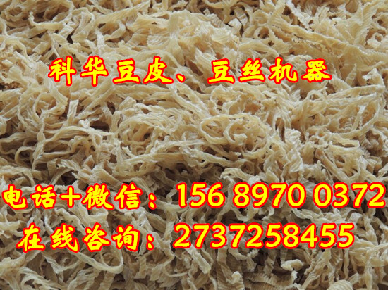 全自動蛋白肉機械設備