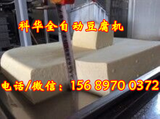 全自動豆腐機械設備