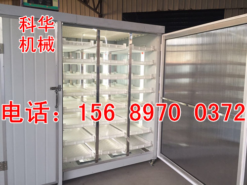 全自動芽苗菜機價格