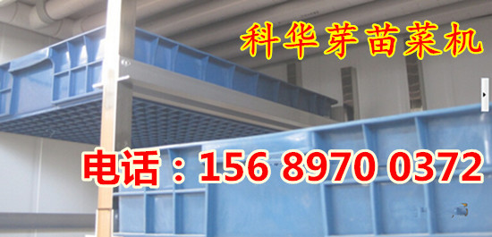 科華全自動芽苗菜機械設備